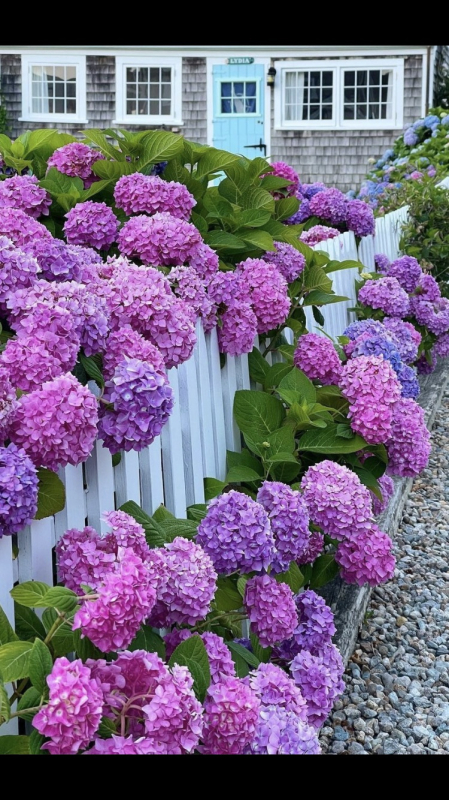 Любимое❤️